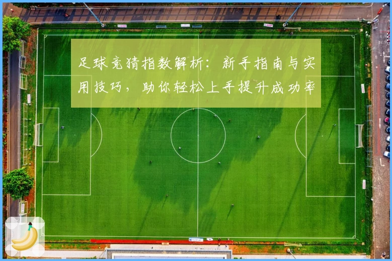 足球竞猜指数解析：新手指南与实用技巧，助你轻松上手提升成功率