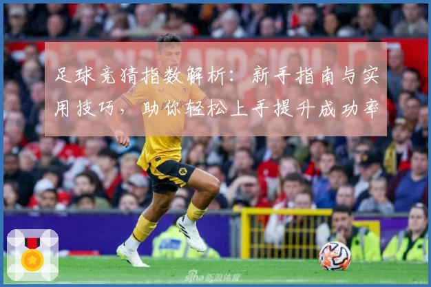 足球竞猜指数解析：新手指南与实用技巧，助你轻松上手提升成功率