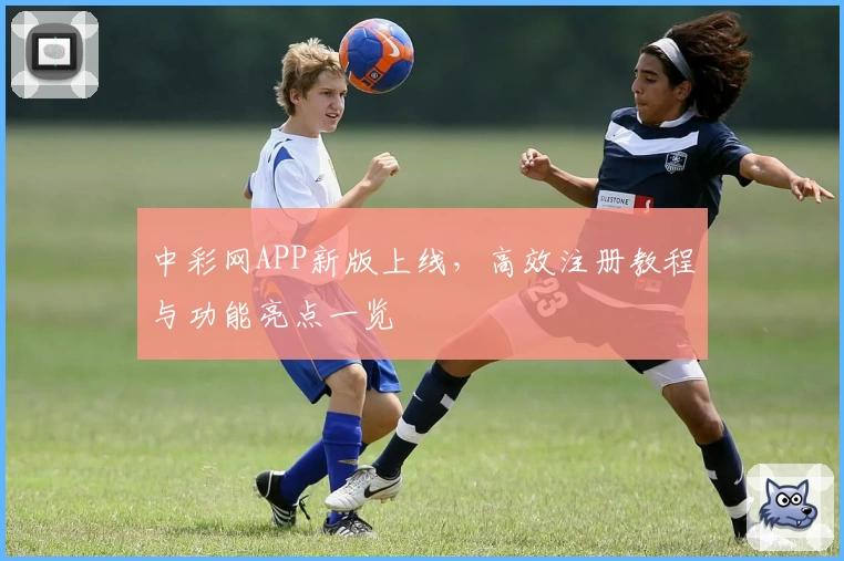 中彩网APP新版上线，高效注册教程与功能亮点一览